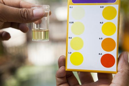 Pool Chemical Balancing Tips for Florida Heat: What Tampa Pool Owners Must Know